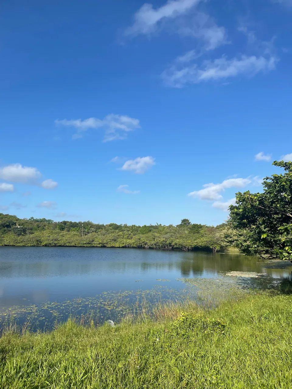 Vende-se Propriedade em Marapanim/PA - Foto 3