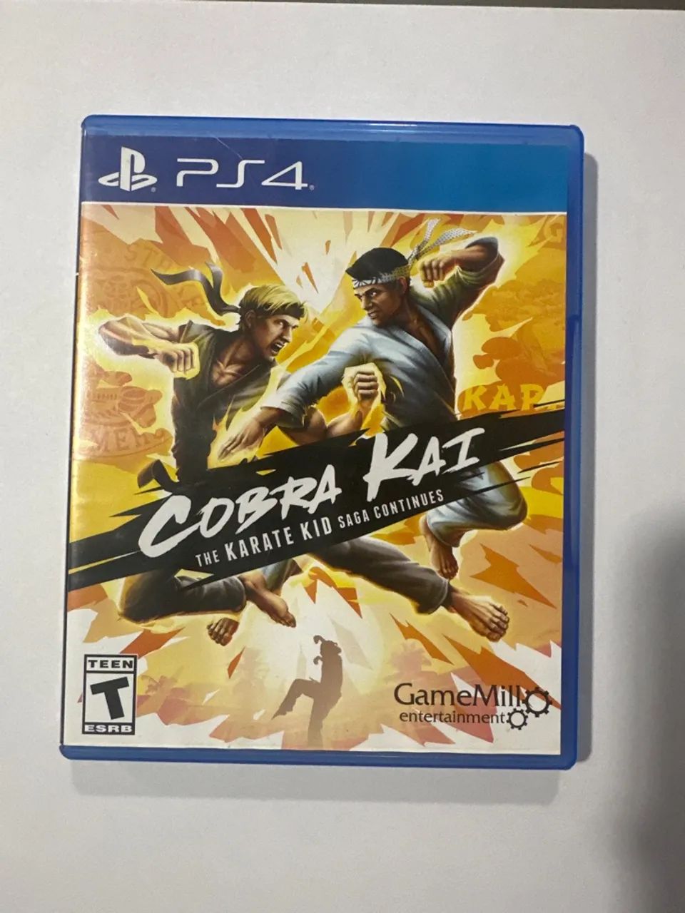 Cobra Kai PlayStation 4