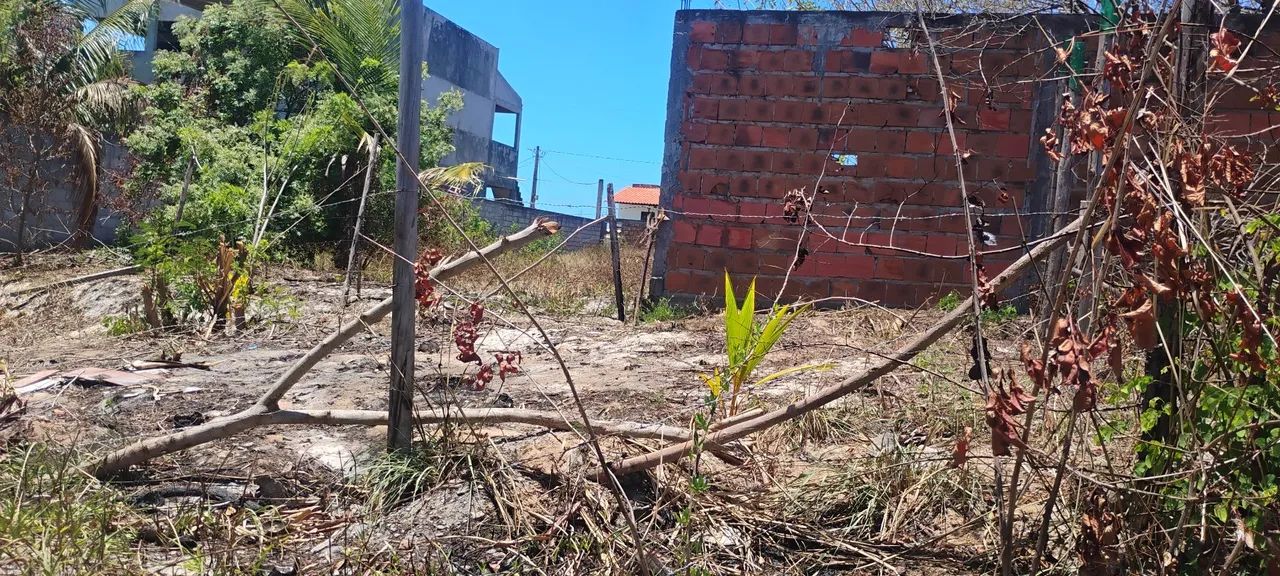 Terreno arembepe - Foto 5
