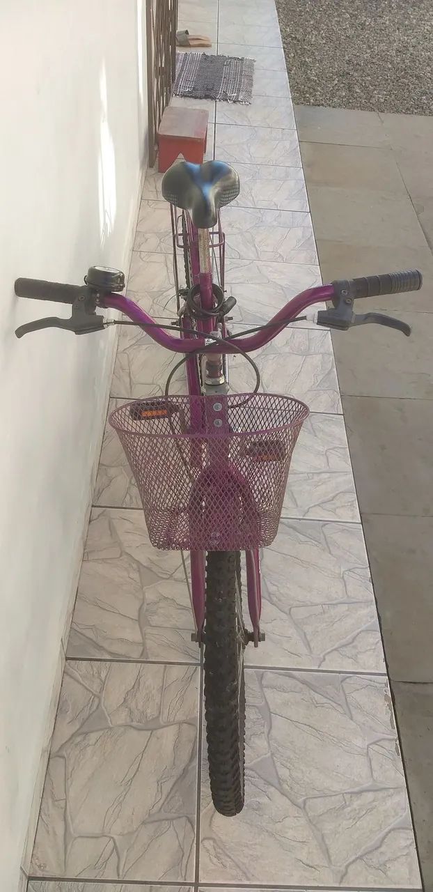 Bicicleta Susi Delannie - Foto 3
