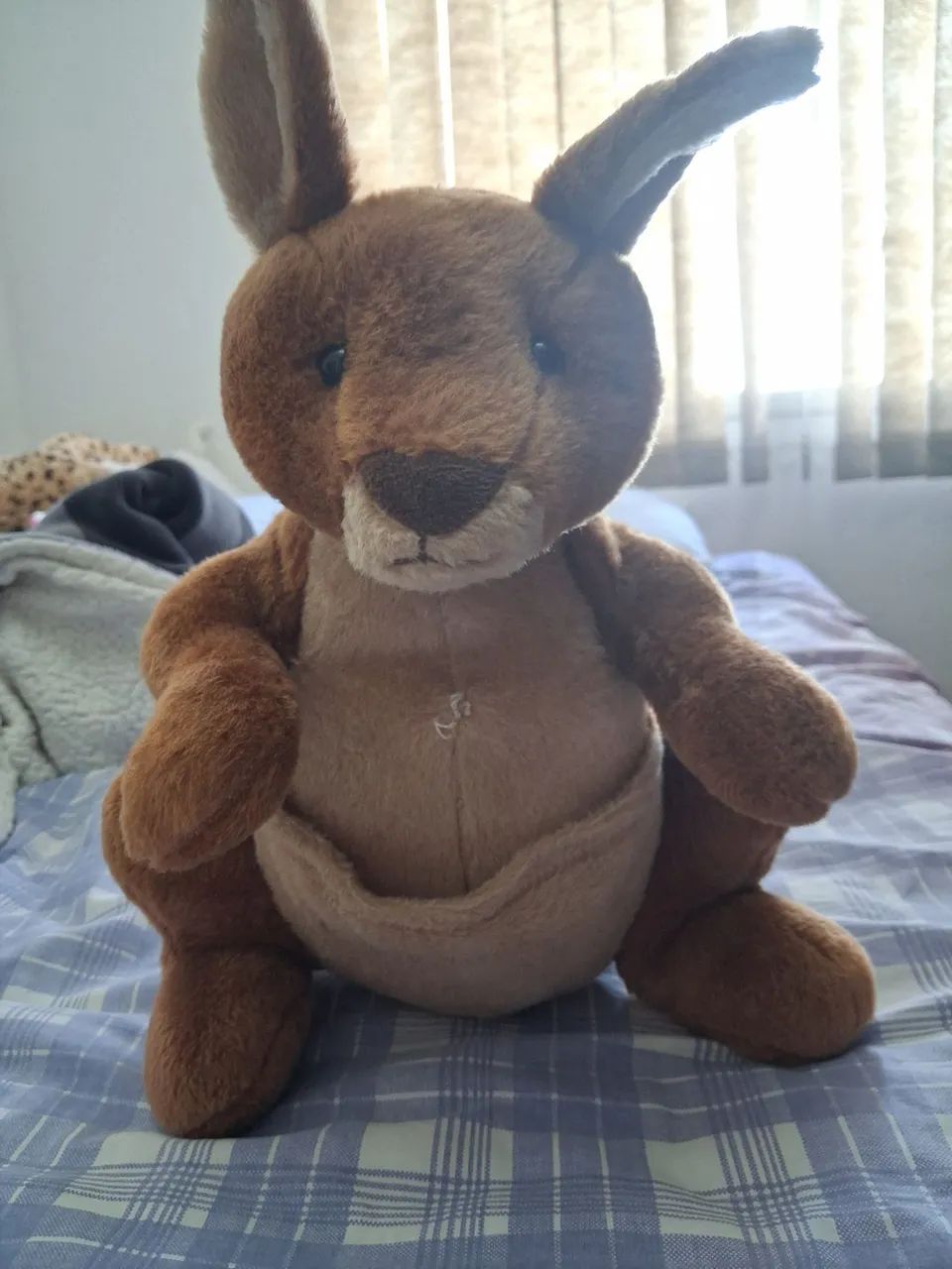 Pelucia