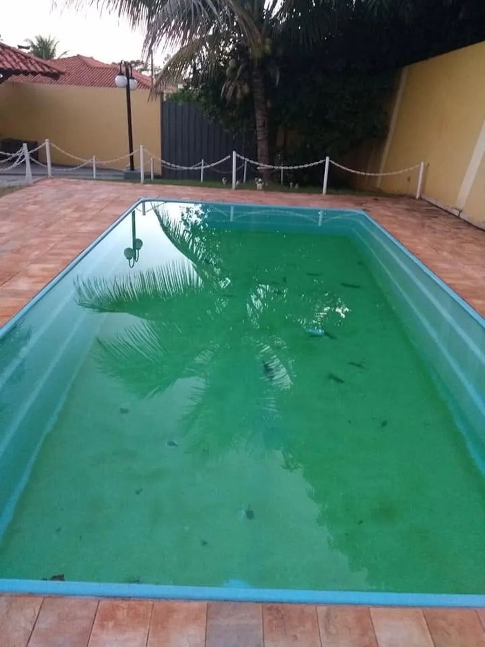 Limpeza de piscina Saquarema  - Foto 3