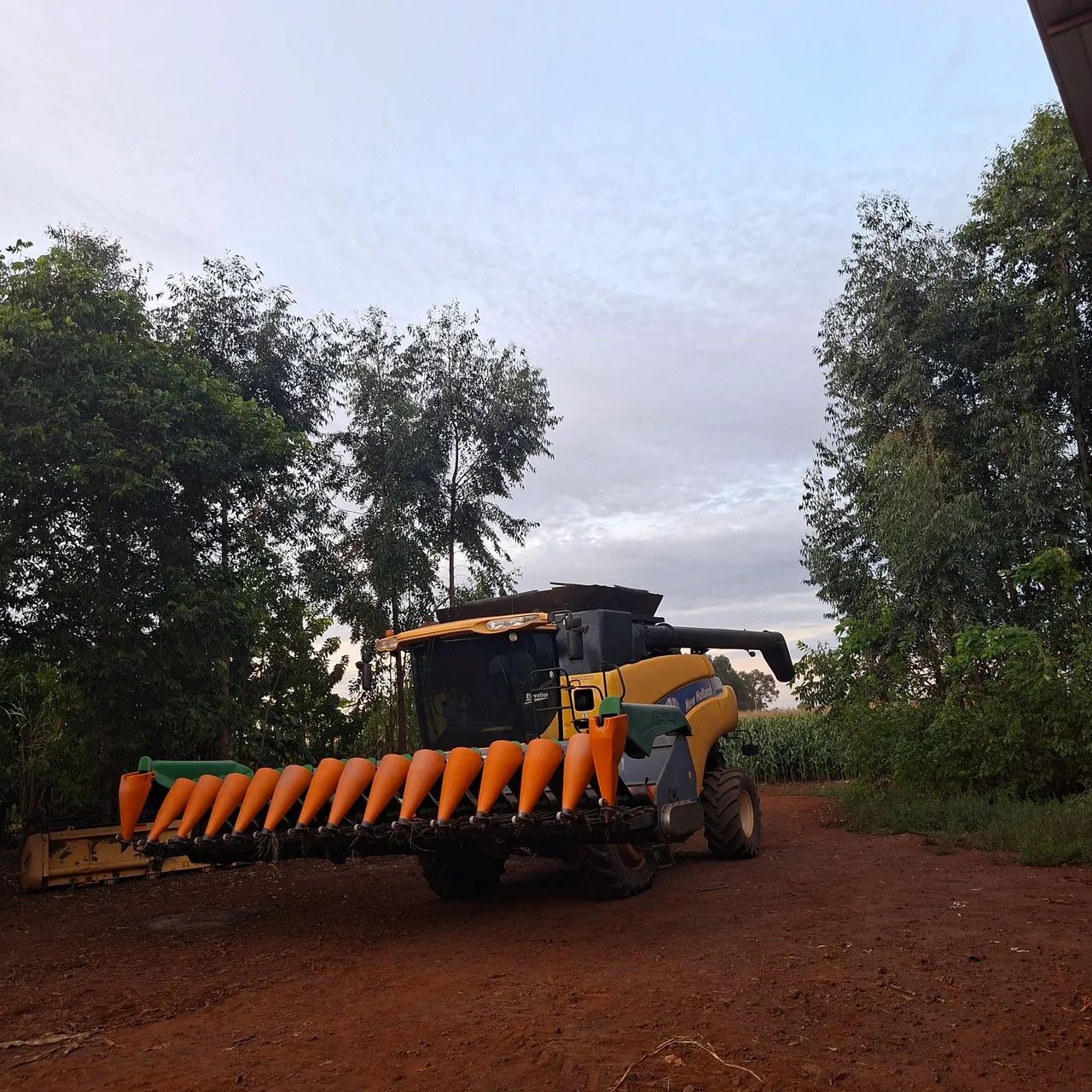 Plataforma de milho.  14x50   - Foto 2