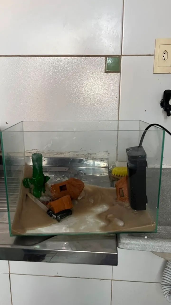 Aquário completo 