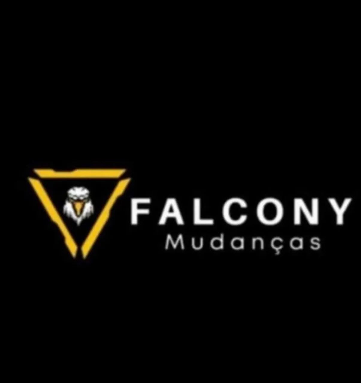 Mudanças e transporte de carga  - Foto 5
