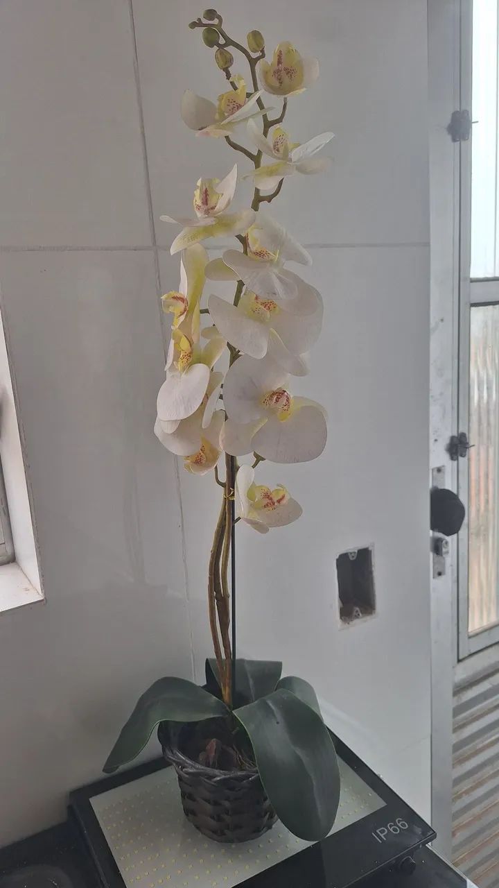 Orquídea artificial