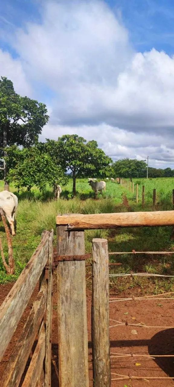VENDO faça sua proposta  - Foto 4