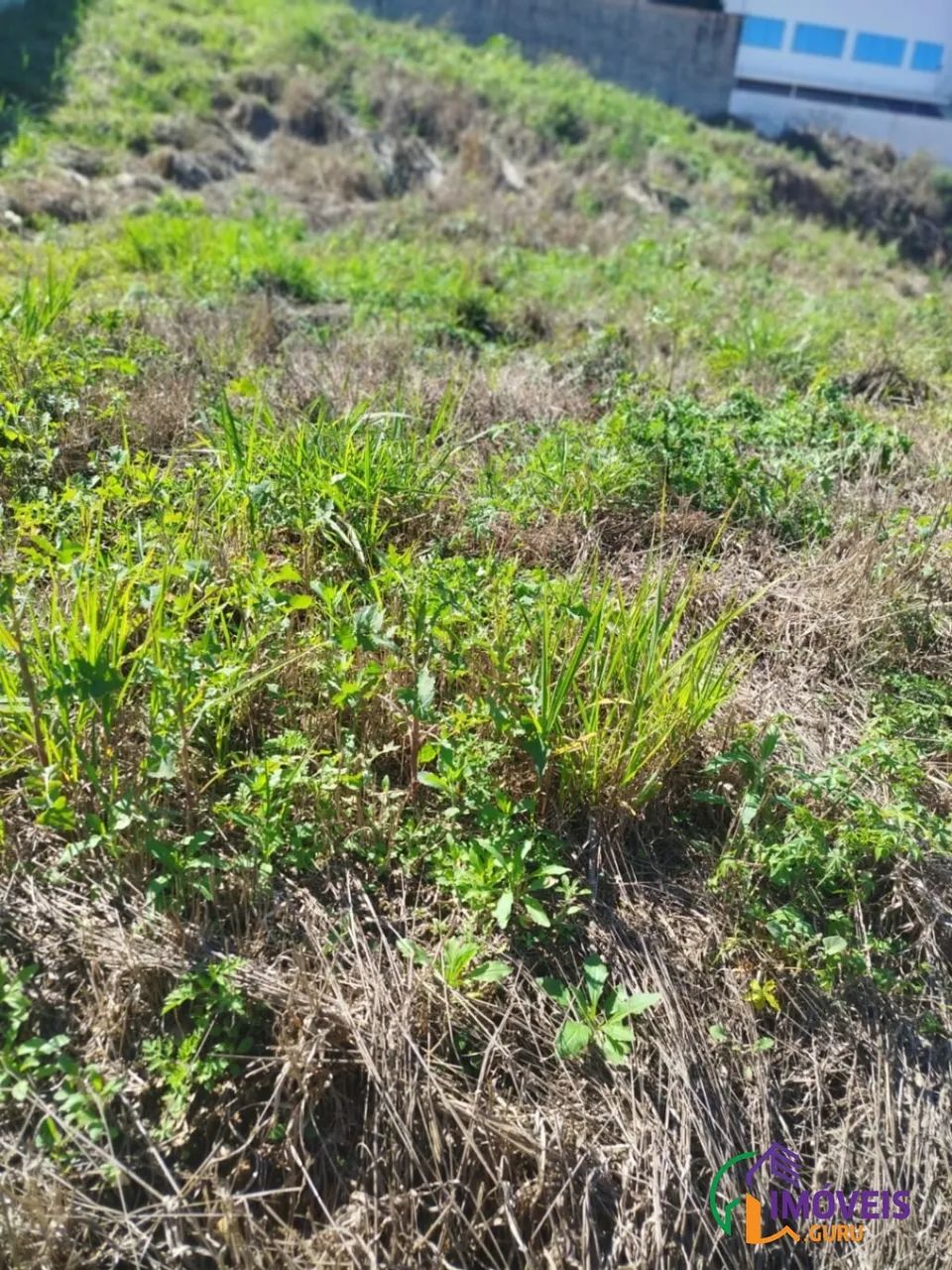 TERRENO - RESIDENCIAL SÃO LUIZ - SP - Foto 5