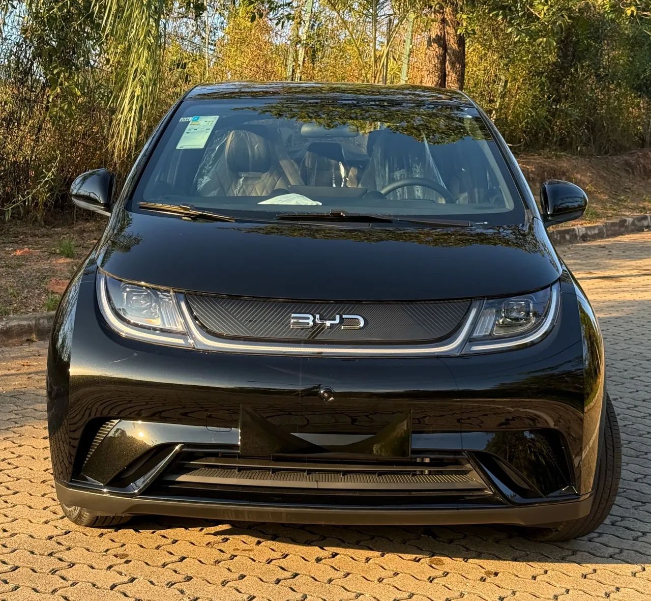 BYD Dolphin Mini (Elétrico) 2025 - Foto 3