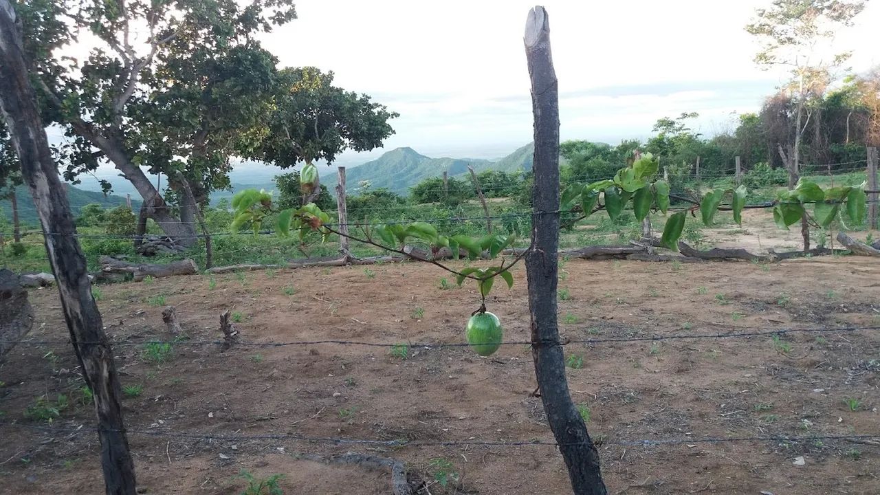 Terreno Serra de Martins  - Foto 3