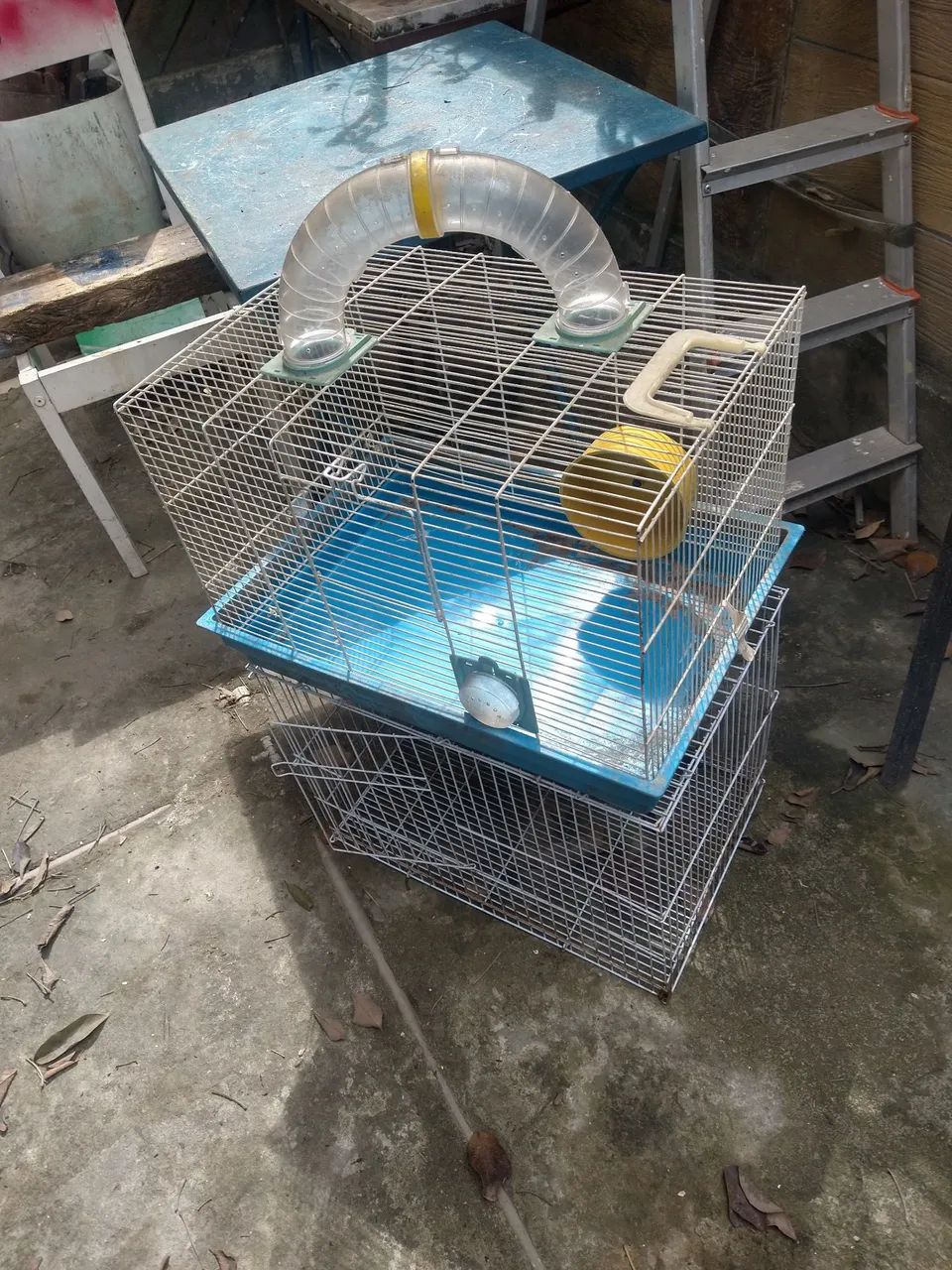Gaiola ramester  - Foto 4