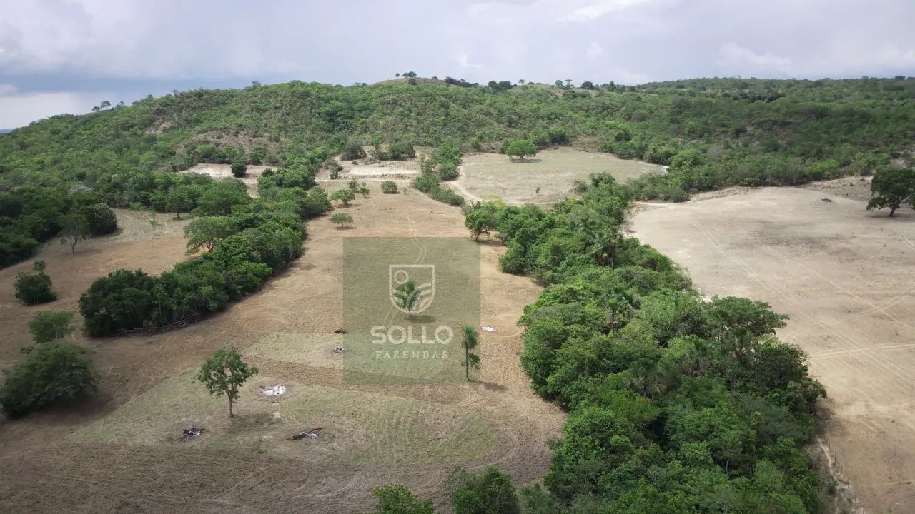 Fazenda formada 25 alqueires no Varjão - Foto 4