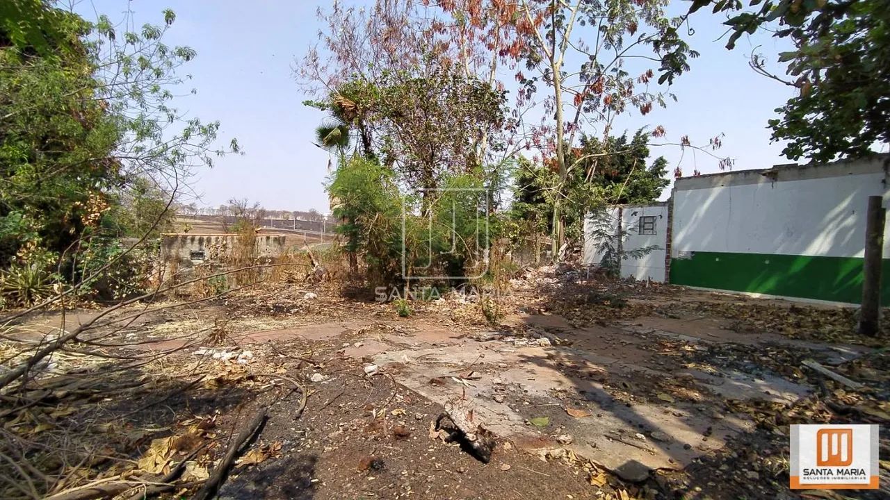 Terreno (terreno normal) - Foto 5