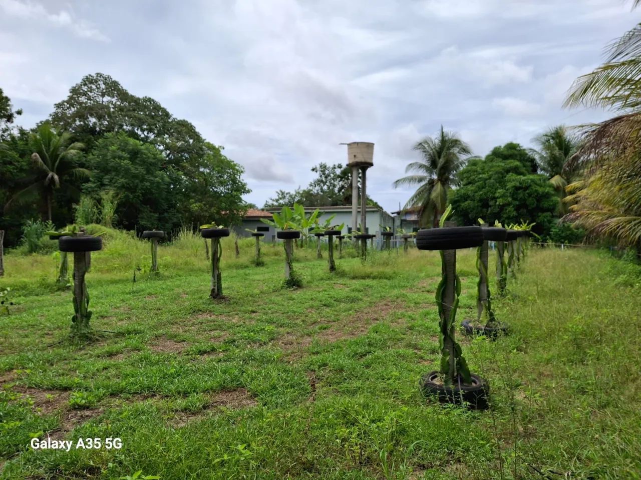 Granja Lagoa do Bomfim  - Foto 3