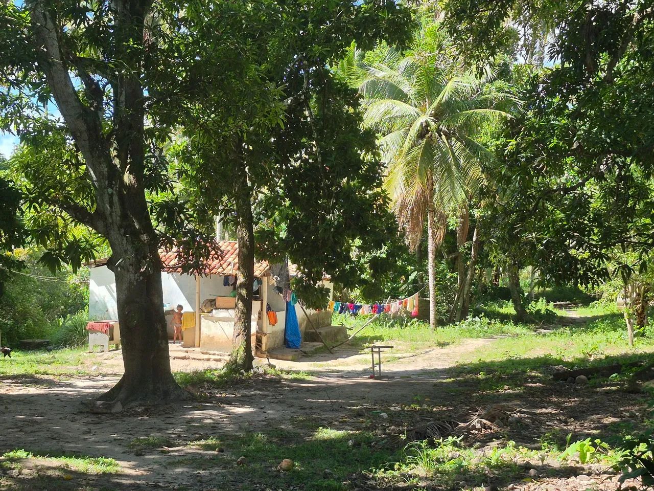 Vendo Sítio em São Cristovão Sergipe  - Foto 3