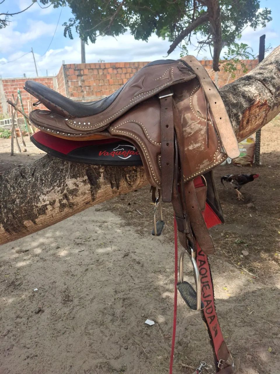 Selote para cavalo - Foto 4