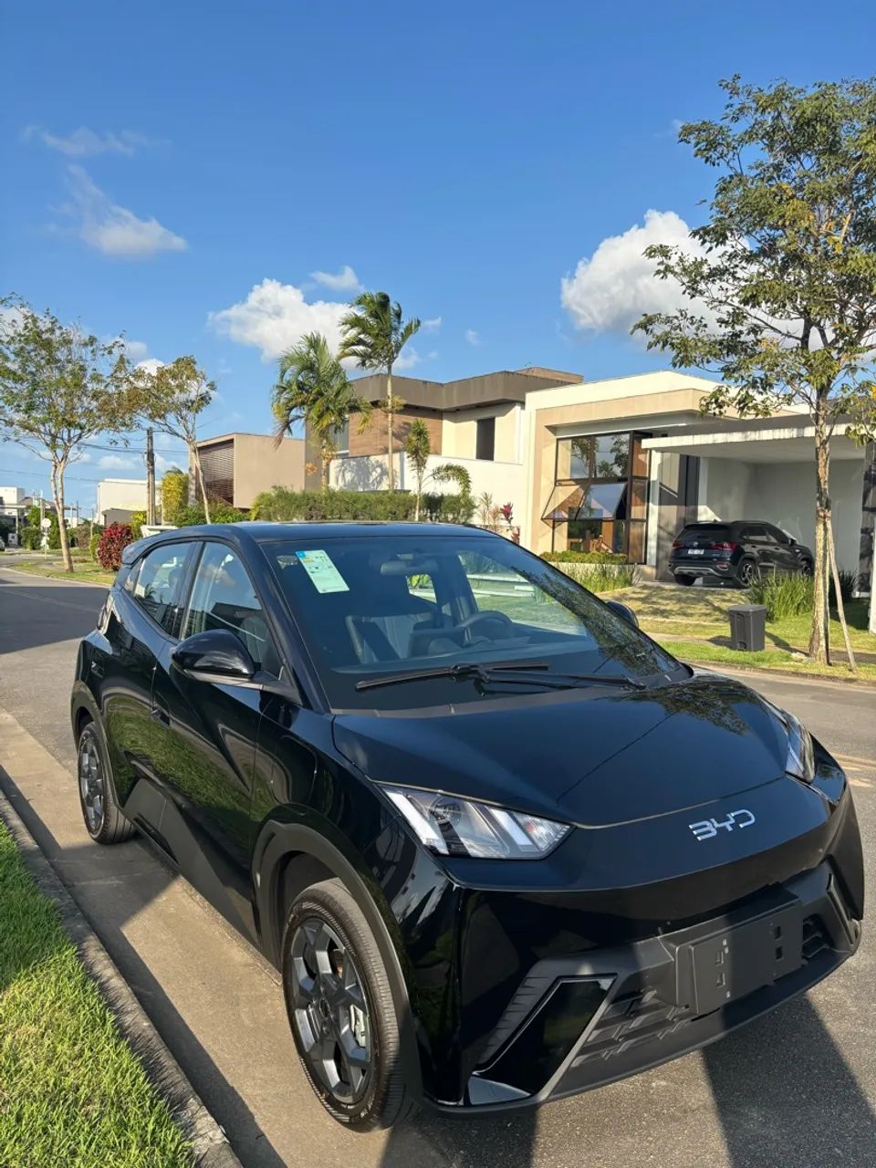 Aluguel/Locação BYD DOLPHIN MINI