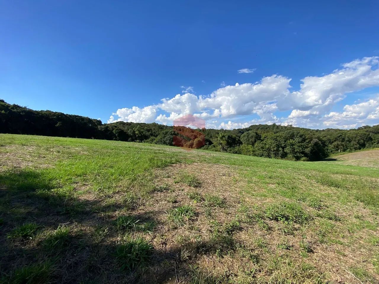 Área Rural à Venda  27.000 m² - Foto 5