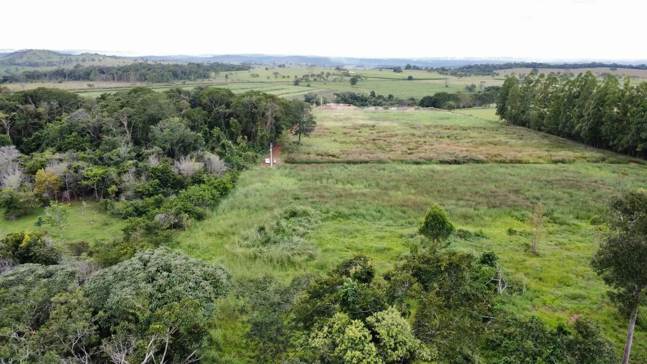 Chácara 22.000 M2 em Nerópolis  - Foto 3