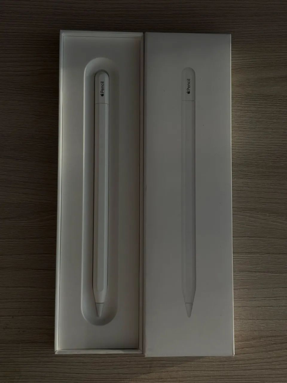 Apple Pencil (USB-C) - Acessórios de Celular - Revoredo, Tubarão