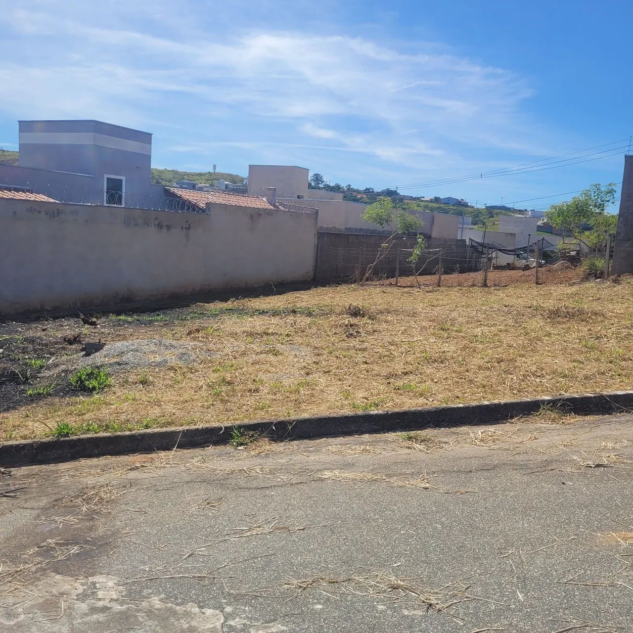 Lote - Foto 3