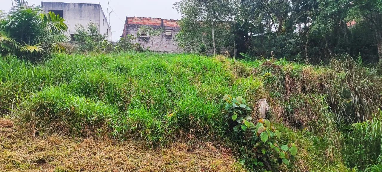 Foto - São Paulo - Recanto Campo Belo