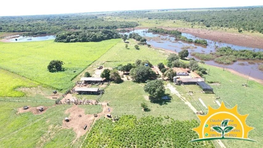 Fazenda entre Unaí e Paracatu-Mg - Foto 3