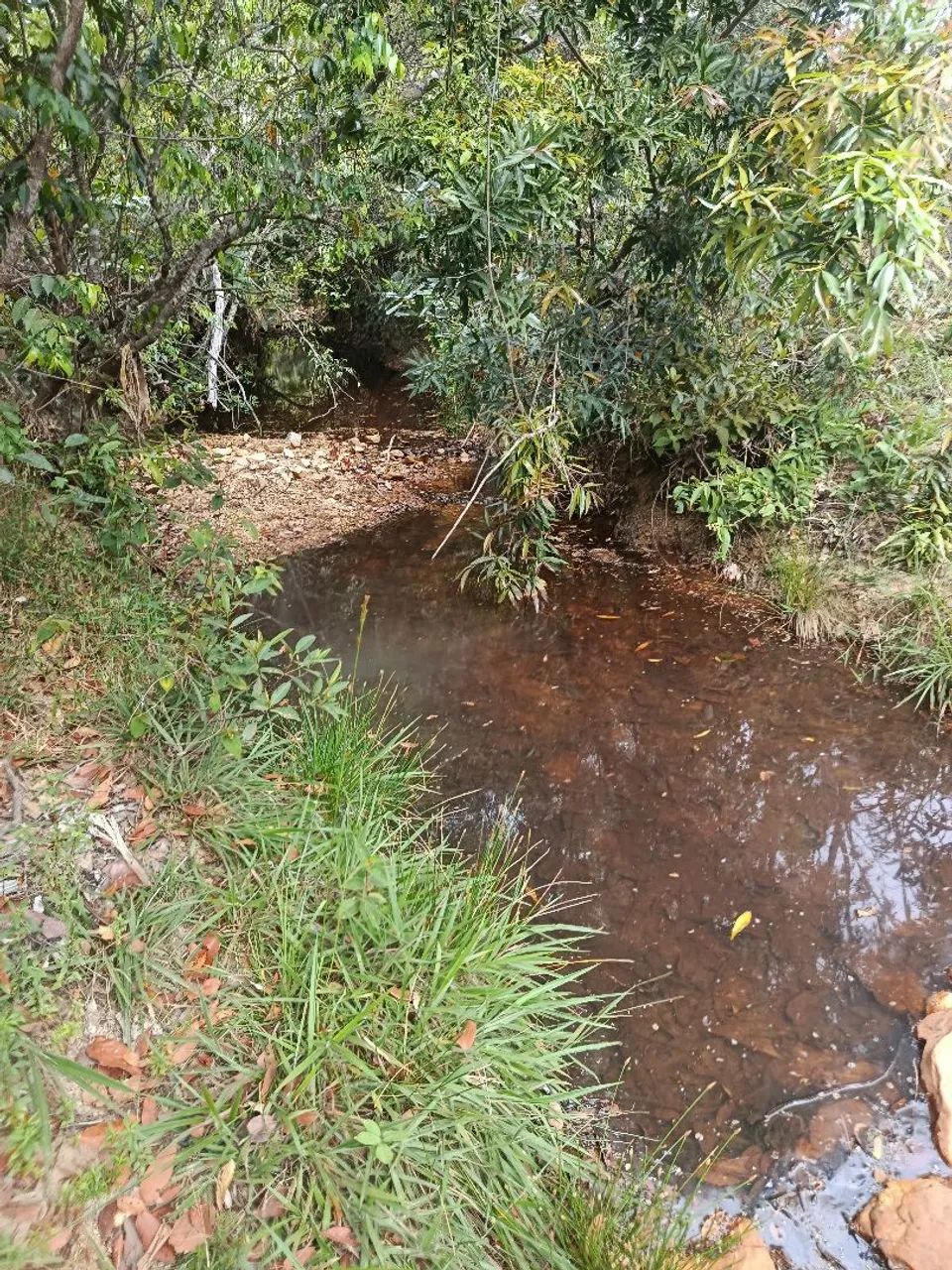 Sítio de 28 hequitares a 65km de montes claros 