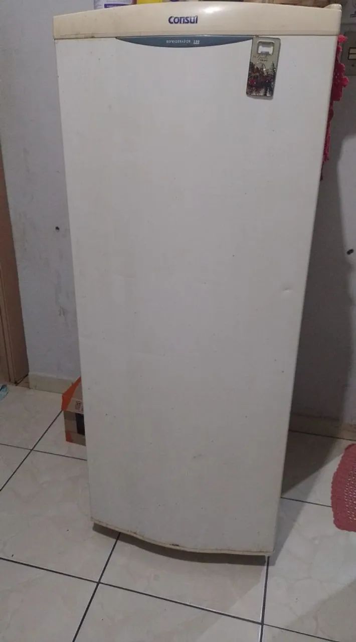 Geladeira 110v