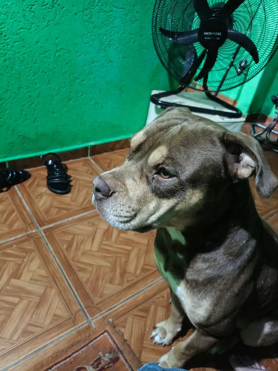 Procuro namorada  - Foto 3