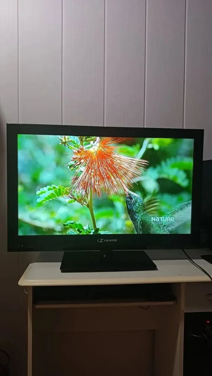 TV BUSTER LCD 32 POLEGADAS