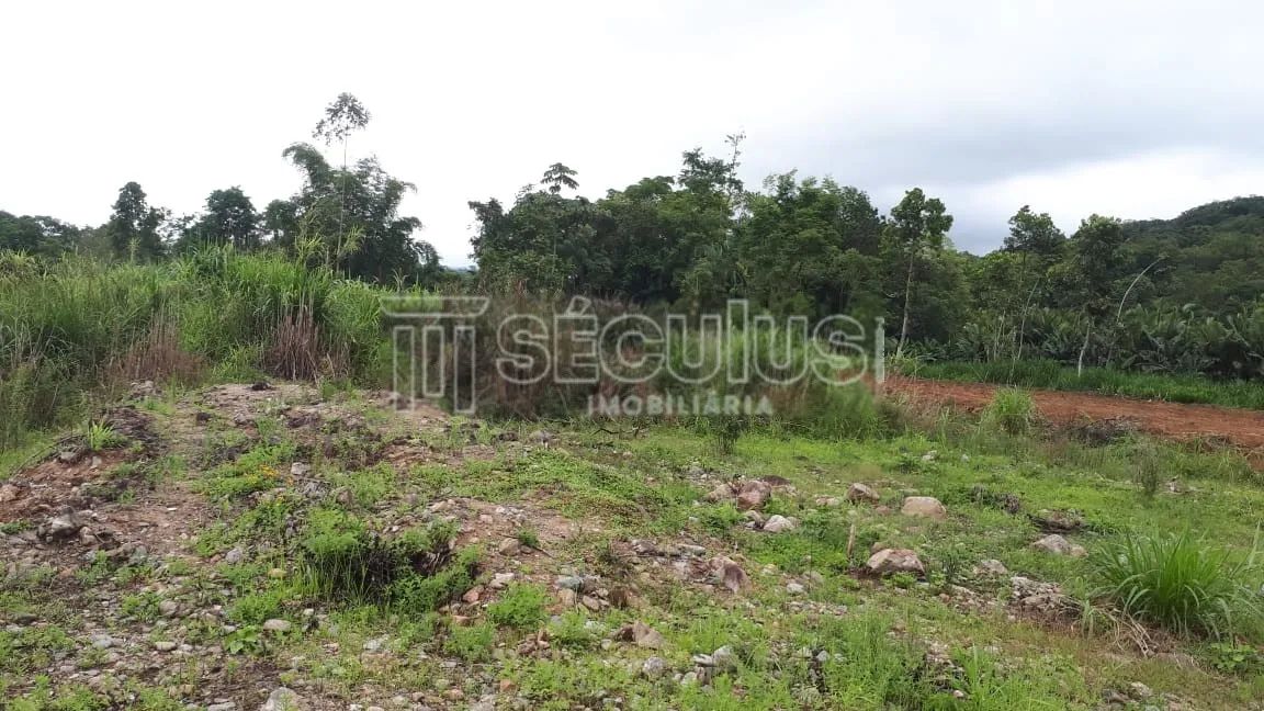 LINDO TERRENO PARA CHACARA PROXIMO AO RIO - Foto 2