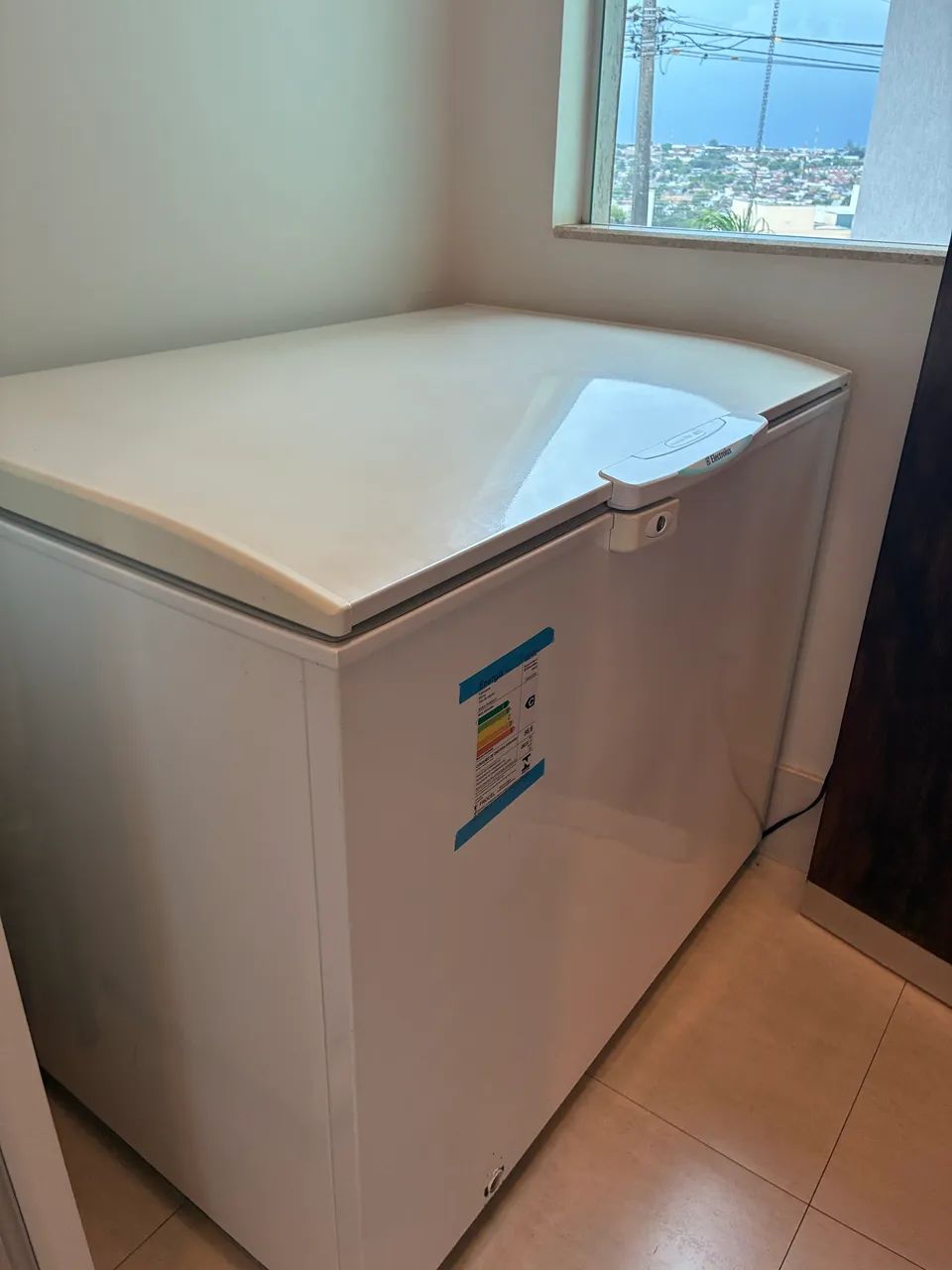 Freezer eletrolux 307L