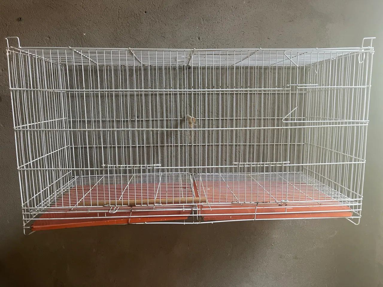 Gaiola para Psitacídeos - Foto 3