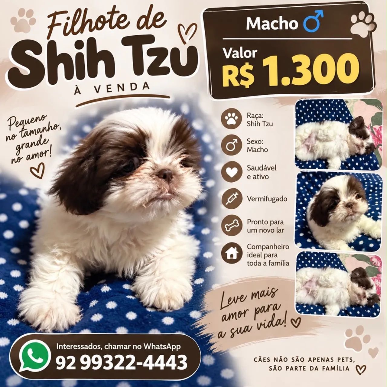 Shitszu