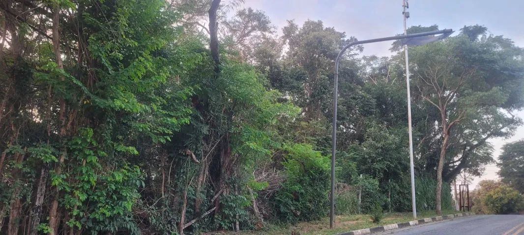 Lindo terreno na Granja Viana - Foto 5