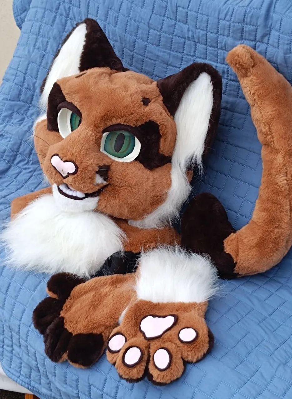 Fursuit nova - Foto 2
