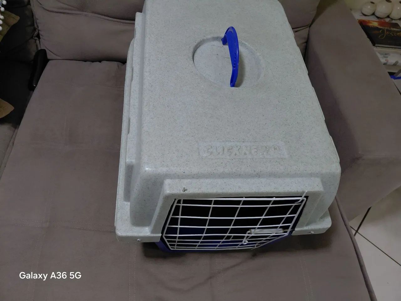 CAIXA TRANSPORTADORA DE PETS - Foto 2