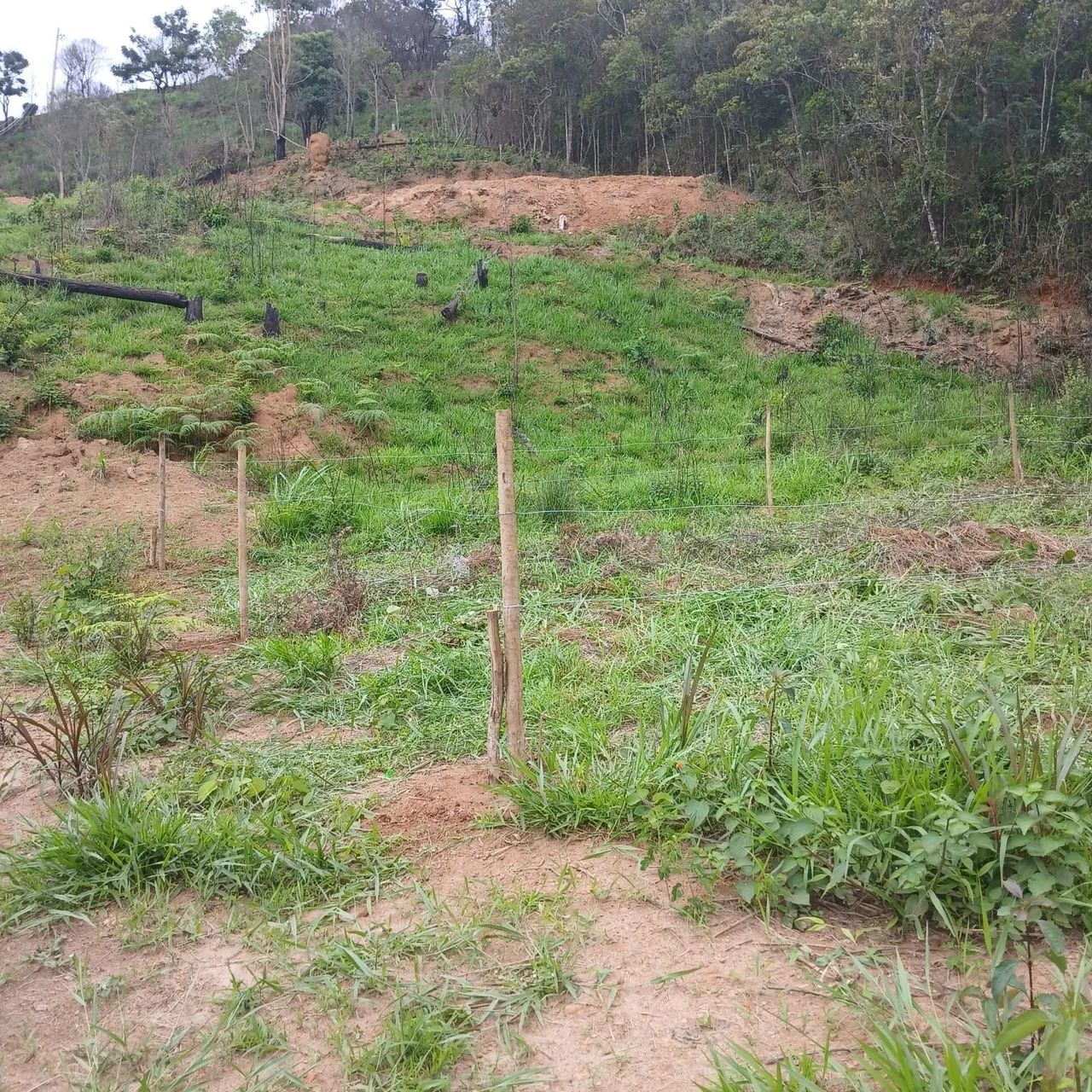 Lotes em ibitipoca  - Foto 2