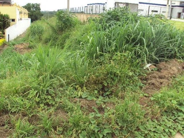 Área Bem Localizada- Coxipó da ponte - Foto 2