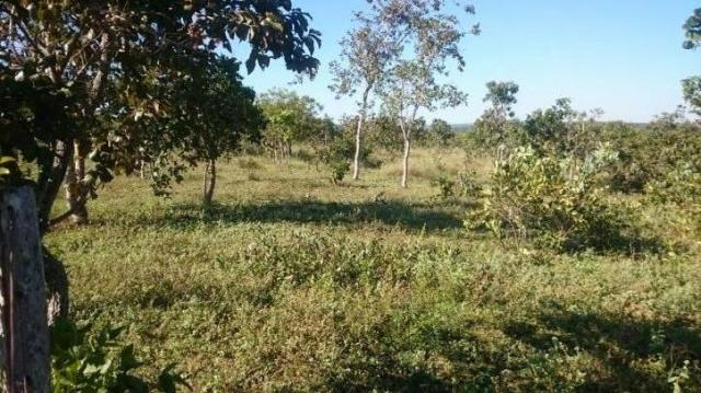 FAZENDA A VENDA EM MATO GROSSO (Dupla Aptidão) - Foto 2