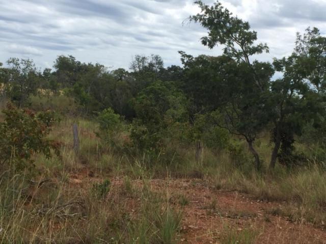 FAZENDA A VENDA EM MATO GROSSO (Dupla Aptidão) - Foto 15