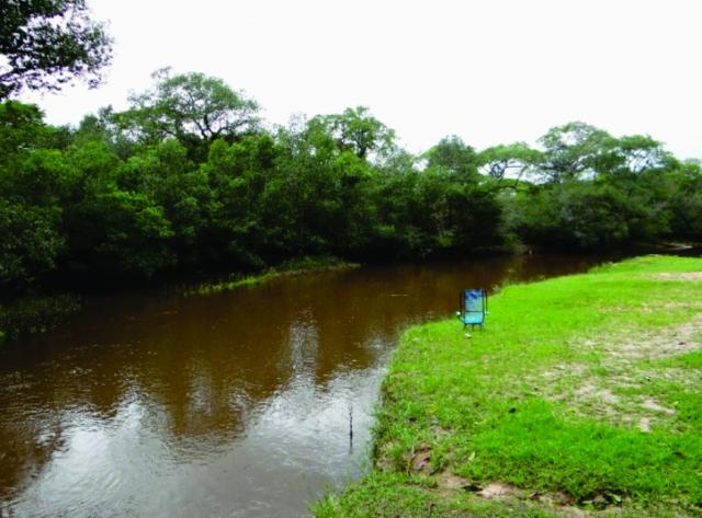 FAZENDA A VENDA EM MS. PANTANAL ALTO ( Pecuária) - Foto 6