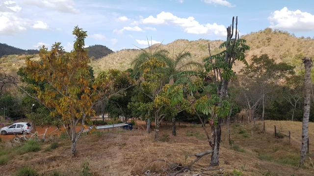 Lindíssima Fazenda de 168 Hectares - Terra Engorda Boi e Criação de Peixes - Foto 8