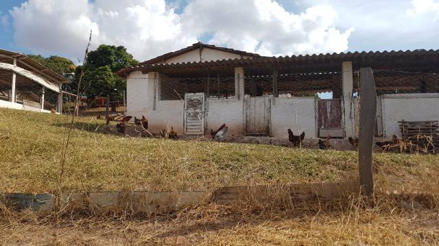 Lindíssima Fazenda de 168 Hectares - Terra Engorda Boi e Criação de Peixes - Foto 16