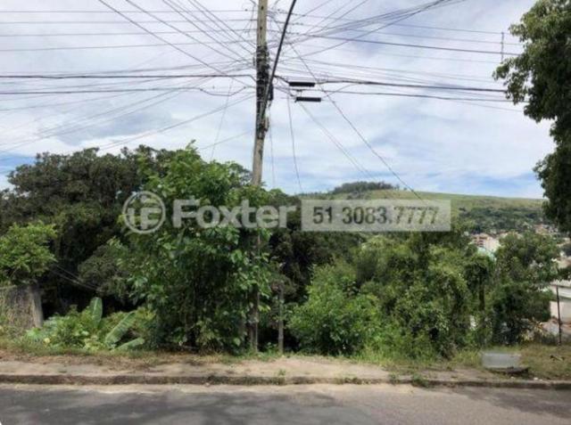 Terreno à venda em Teresópolis, Porto alegre cod:101045 - Foto 2