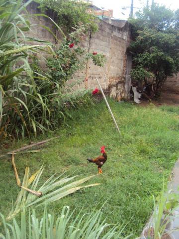 Loteamento/condomínio à venda em Caiçaras, Belo horizonte cod:1256 - Foto 2