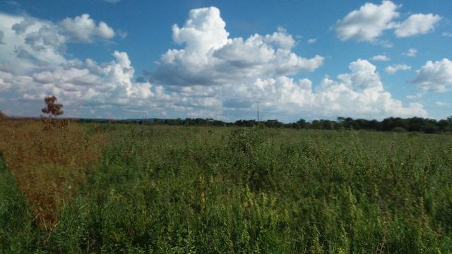 215A/Fazenda de 485 ha com outorga para irrigação às margens do Rio São Francisco - Foto 4