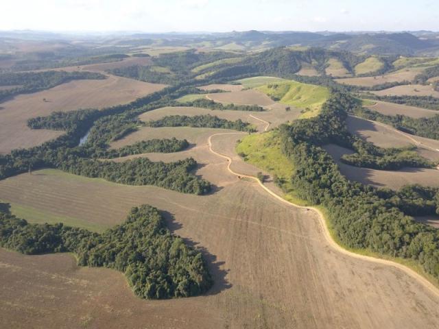 Vendo fazenda 350 alqueires em arapoti-pr - Foto 4