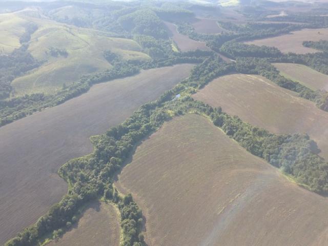 Vendo fazenda 350 alqueires em arapoti-pr - Foto 5